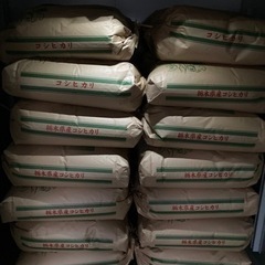 令和5年度産コシヒカリ　玄米　３０キロ　新米　佐野市産
