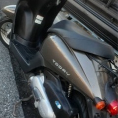 ホンダ  トゥデイ  af67-Fi  ブラウン