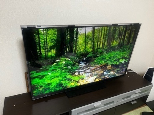 Panasonic VIERA  TH-55FX750『液晶面保護シールド付き』