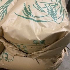 【完売御礼】新米ヒノヒカリ　30kg