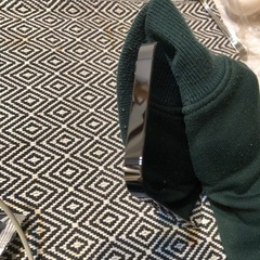 Iphone13Pro 256gb SIMフリー