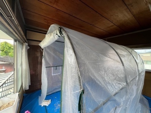 【早い物勝ち】ビニールハウス 早い物勝ち】ビニールハウス