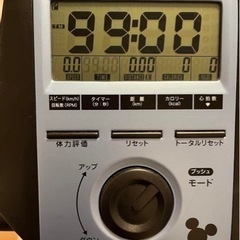 アルインコ(ALINCO) フィットネスバイクモデル DSY6219 ディズニー