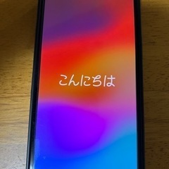 iPhone 12 PRO 256G(美品)【クリスマス限定お値下げ】