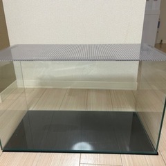 【ネット決済】ガラス水槽　