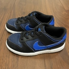 【NIKE】ダンクロー【16cm】