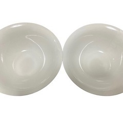 どんぶり皿 2枚セット 陶器 ホワイト 22.5×7.5cm