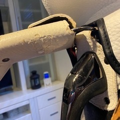 Mizuno Pro  ミズノプロ 養老限定 キャディバッグ