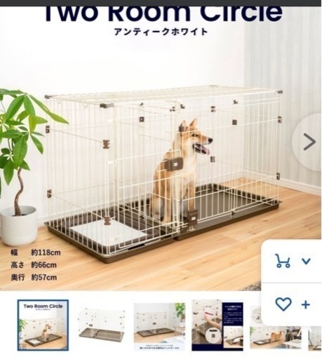ペット　2ルームサークル