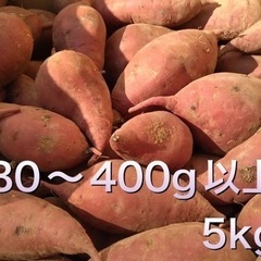 さつまいも　紅はるか　5kgサイズ80g〜400g程度