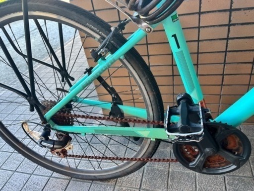 楽天市場】BIANCHI C-SPORT 1 2025年モデル イタリアブランド クロス 