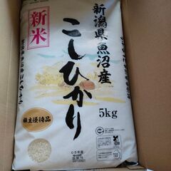 令和5年 新米 魚沼産コシヒカリ５ｋｇ 魚沼産 こしひかり