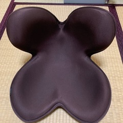 MTG 骨盤サポートチェア Body Make Seat Style