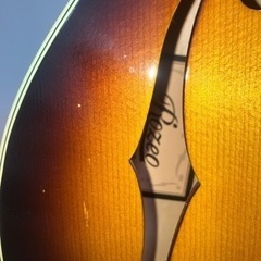 Rozeo Ladybug LA-CTM HB VS ロゼオ