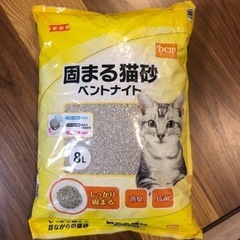 猫砂