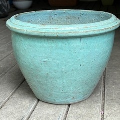 中型植木鉢