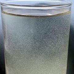 【ネット決済・配送可】【松メダカ】ゾウリムシ 大量増殖 種水500ml