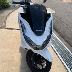 【ネット決済】現行　PCX125