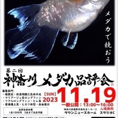 11/19（日）第二回神奈川メダカ品評会開催！