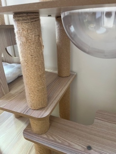 木製キャットタワー　6階建　透明カプセル付