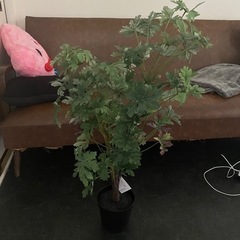 IKEA 観葉植物　フェイク