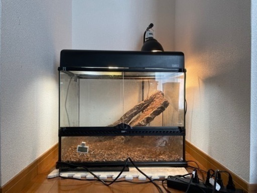 爬虫類飼育セット