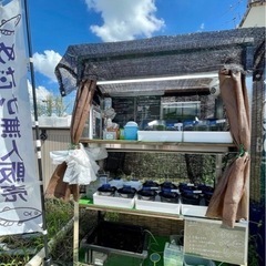 めだか無人販売  営業中🐟