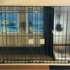 犬用ゲージ ※11/4までに引き取りで¥2000引き