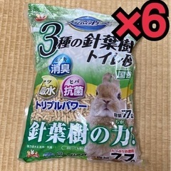 3種の針葉樹 トイレ砂