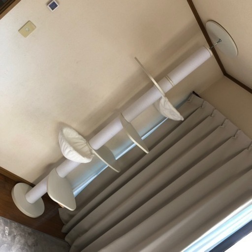 キャットタワー　突っ張りタイプ　白　　引き取り希望