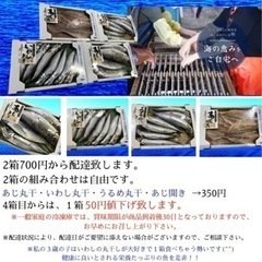 魚の町　宮崎門川伝統の味　干物食べくらべ2箱セット