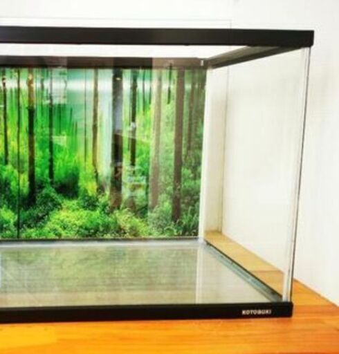 【美品】 60cm 水槽 ろ過フィルター ライト ポンプ 色々セット   メダカ 熱帯魚 アクアリウム