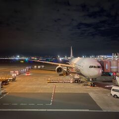 【夜勤専属／パート】航空郵便物のかんたん仕分け作業・羽田空港勤務の画像
