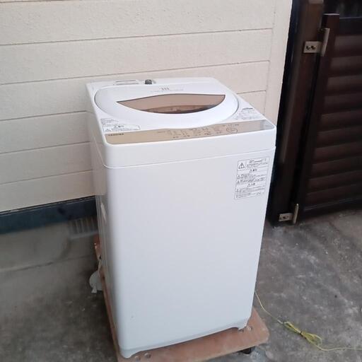 【2019年製】動作良好5kg 東芝　全自動洗濯機