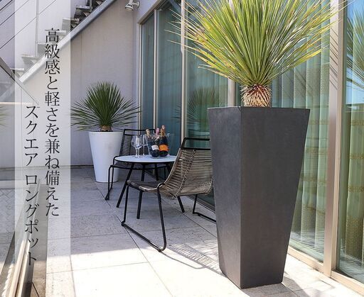 楽天市場で販売中の訳アリプランター 半額で販売します - その他 