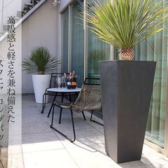 市場で販売中の訳アリプランター　半額で販売します