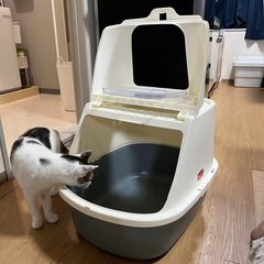 【大容量】猫用トイレ スコップ付き