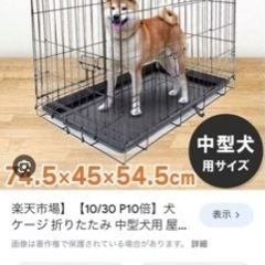 犬猫ケージ天井あり　岡崎西尾安城