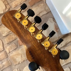 DEVISER ROSETTA VESSEL 2007年製　超美品USED！ 