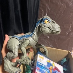 決まりました‼️恐竜のおもちゃ