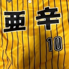 本庄市軟式野球チーム亜辛マネーナイズ　新規メンバー募集