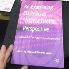 Re-Examining EU Policies from a ...