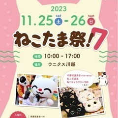 ねこたま祭！住協川越支店様と同時開催【保護猫譲渡会 in ウニク...