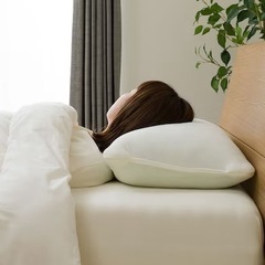 抗菌防臭　低反発チップ枕(Nチップ3 HI P2205) 未使用品