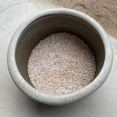 メダカの水槽　睡蓮鉢