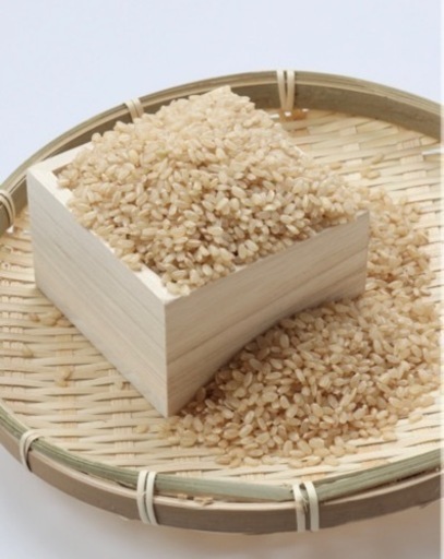 【完売ありがとうございました！】大人気！新米 幻のお米と呼ばれる朝日米玄米 30kg 7千円