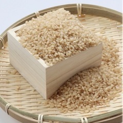 【完売ありがとうございました！】大人気！新米 幻のお米と呼ばれる...
