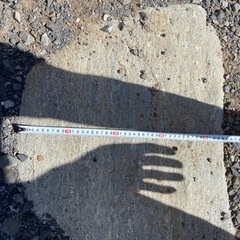 青石飛石特大22個セット