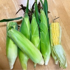 夕採れ♪甘い❣️とうもろこし🌽予約だけで完売しました