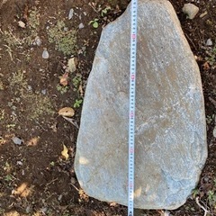 青石飛石特大22個セット